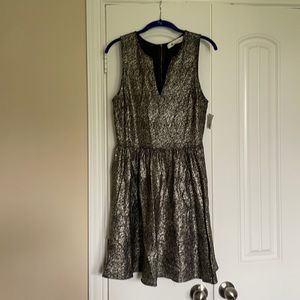 Black and Gold shimmer dress